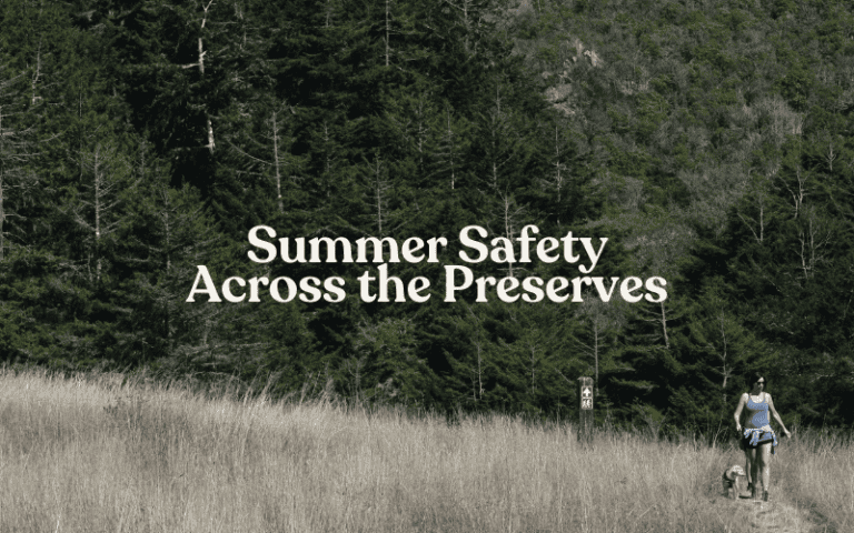 Summer Safety Across the Preserves Hero image