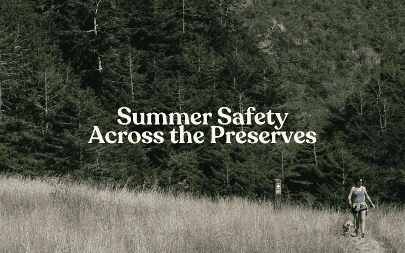 Summer Safety Across the Preserves Hero image