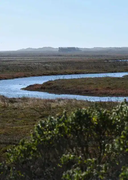 Wetlands and river landscape at The Wildlands Conservancy, showcasing natural habitat preservation.