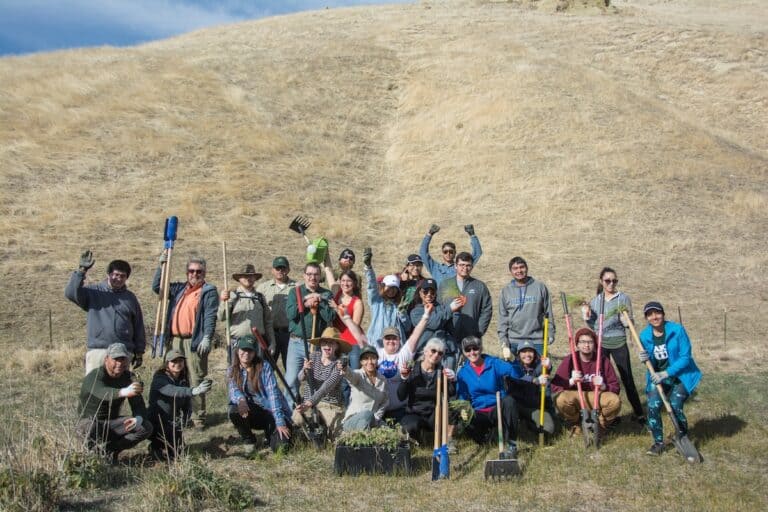 Group of volunteers planting trees at Wind Wolves Preserve for conservation.