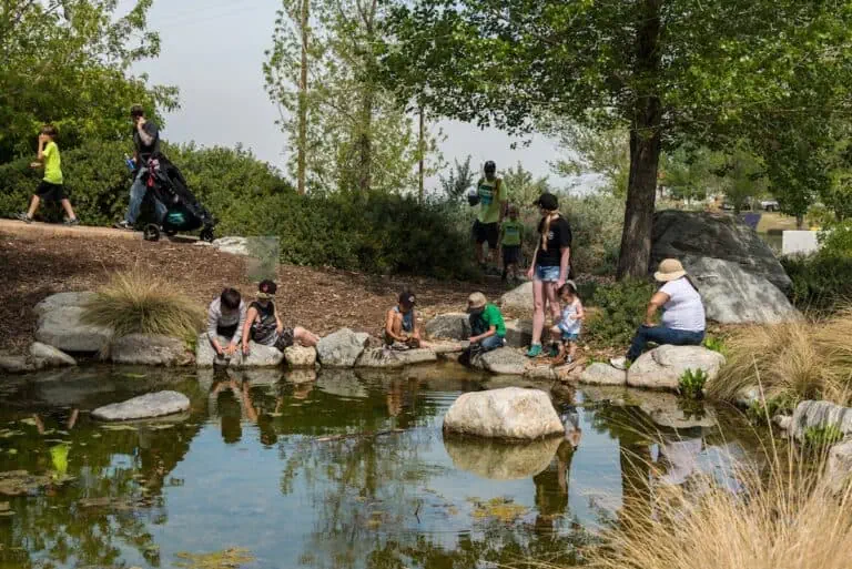 Visitors enjoying a nature walk and exploring a pond at Wind Wolves Preserve.