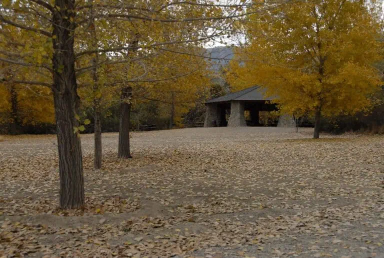 Autumn scene at Wind Wolves Preserve with trees and a shelter.