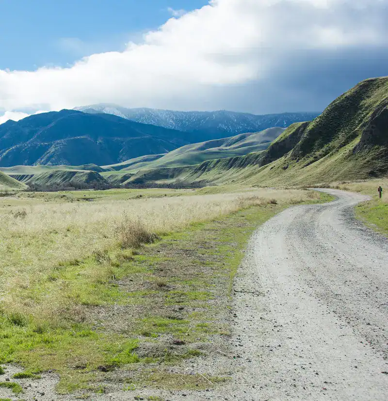 Scenic view of Wind Wolves Preserve with rolling hills and a dirt trail under a partly cloudy sky.