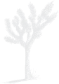 Wildlands Conservancy logo with tree and water elements for environmental programs.
