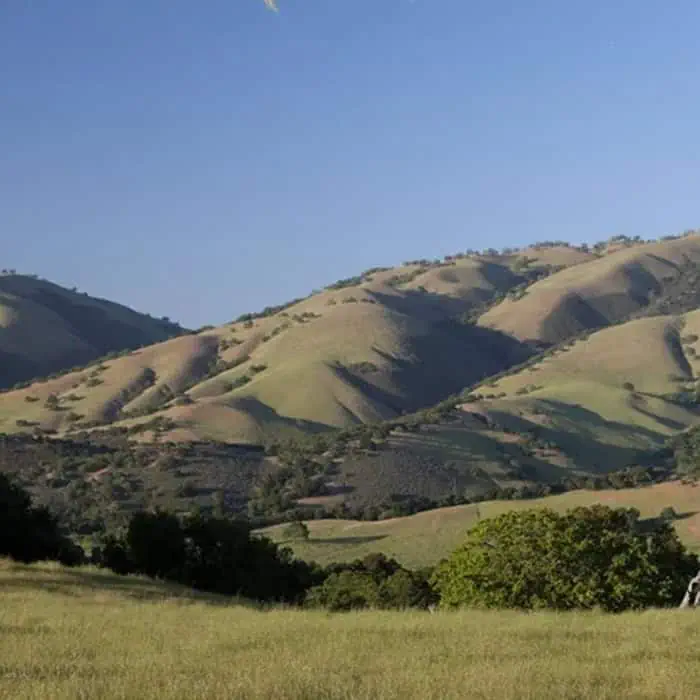 Beautiful landscape of rolling hills and lush green fields under a clear blue sky.