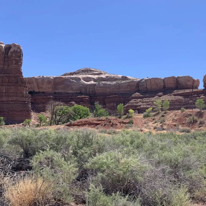 Scenic view of red rock formations and desert vegetation in Red Rock Canyon.