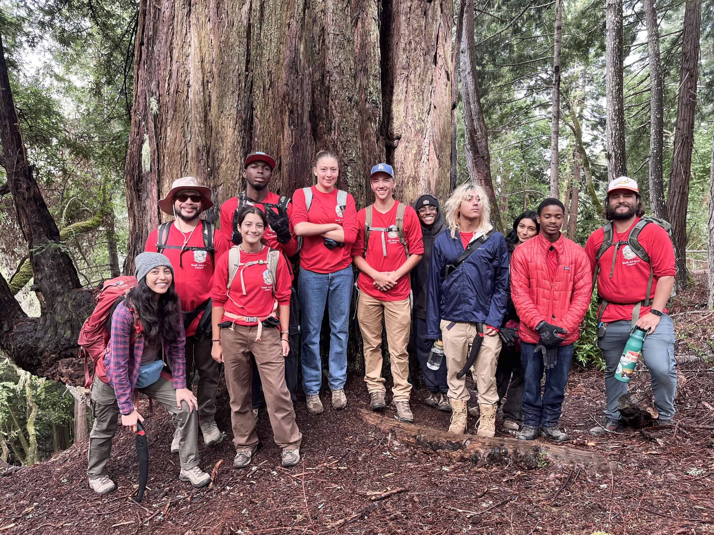 Group of hikers in forest with tall trees and lush greenery.