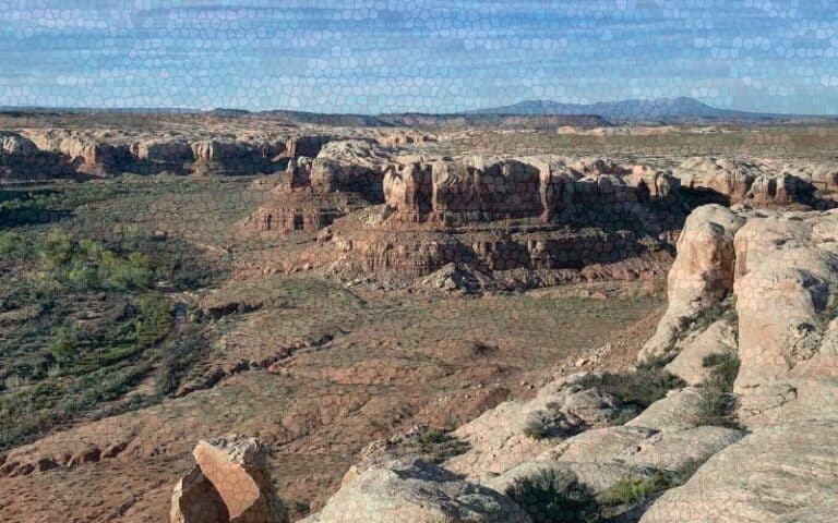 Grand Canyon Landscape by The Wildlands Conservanc