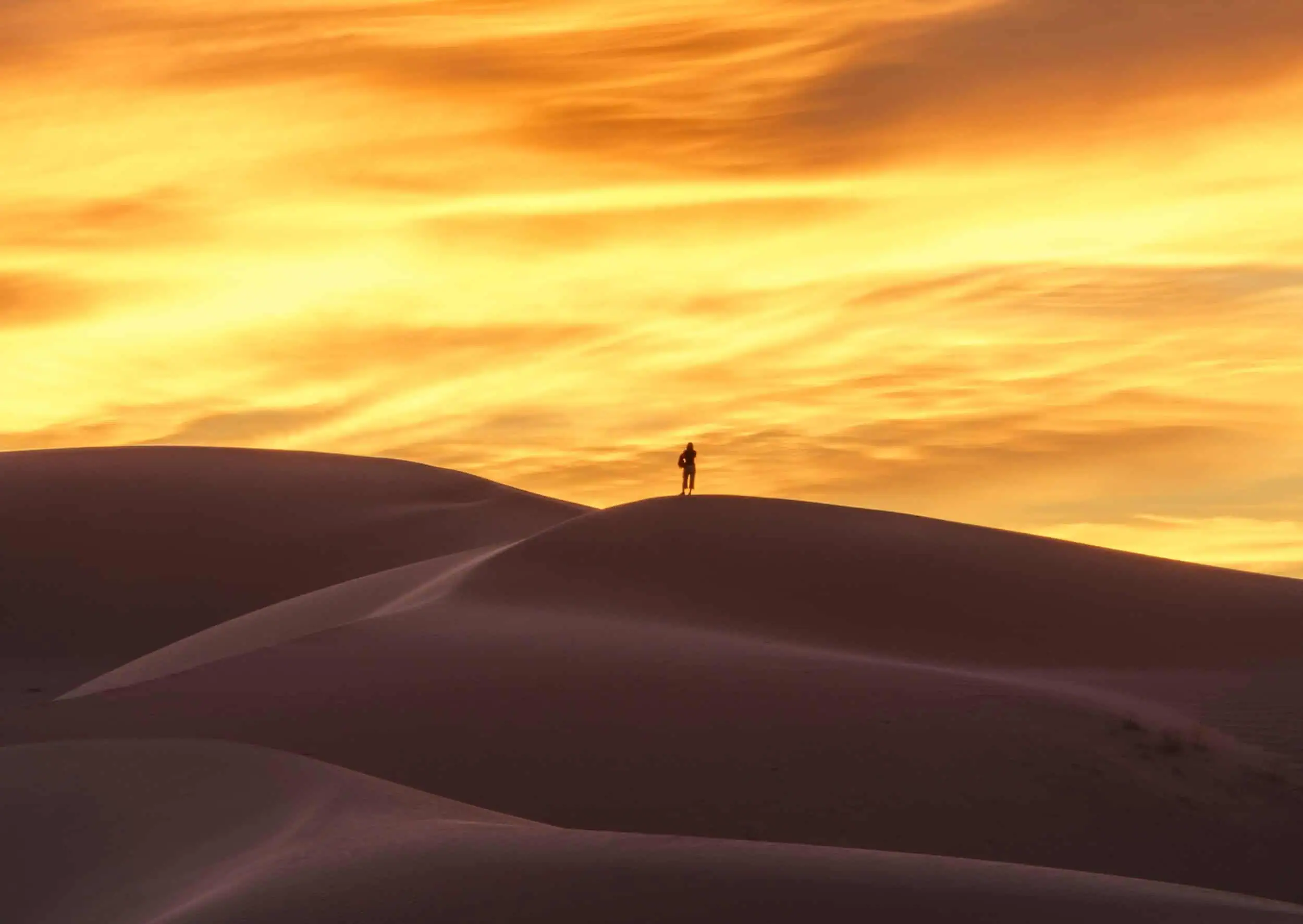 Cadiz Dunes, Mojave Trails National Monument—protected wilderness in California's Mojave Desert. Photo by The Wildlands Conservancy staff.
