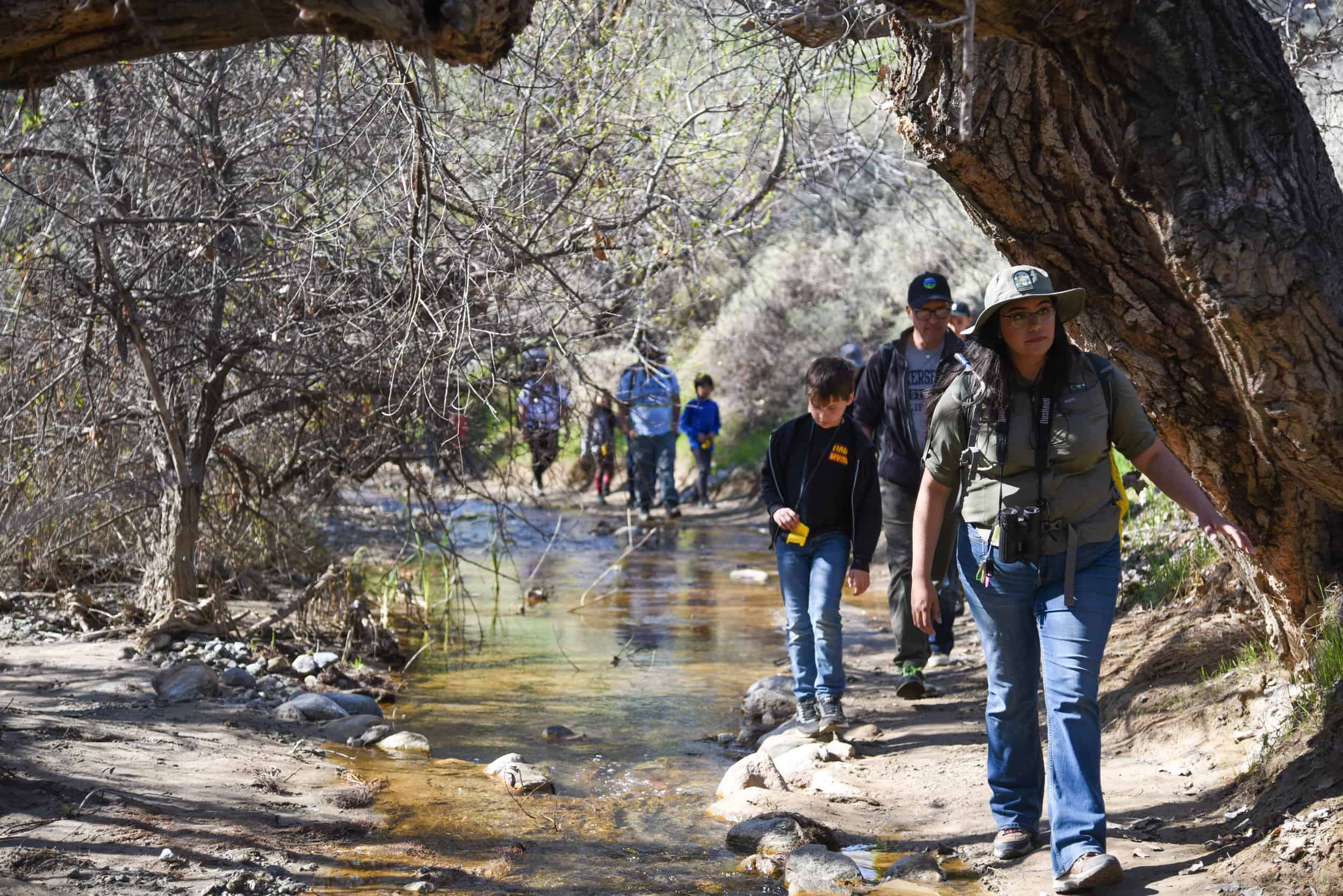 Group of hikers walking along a creek in a forested area.