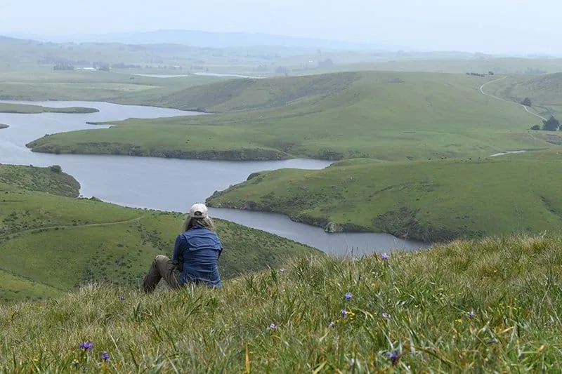 Person enjoying a panoramic view of lakes and rolling hills at The Wildlands Conservancy.