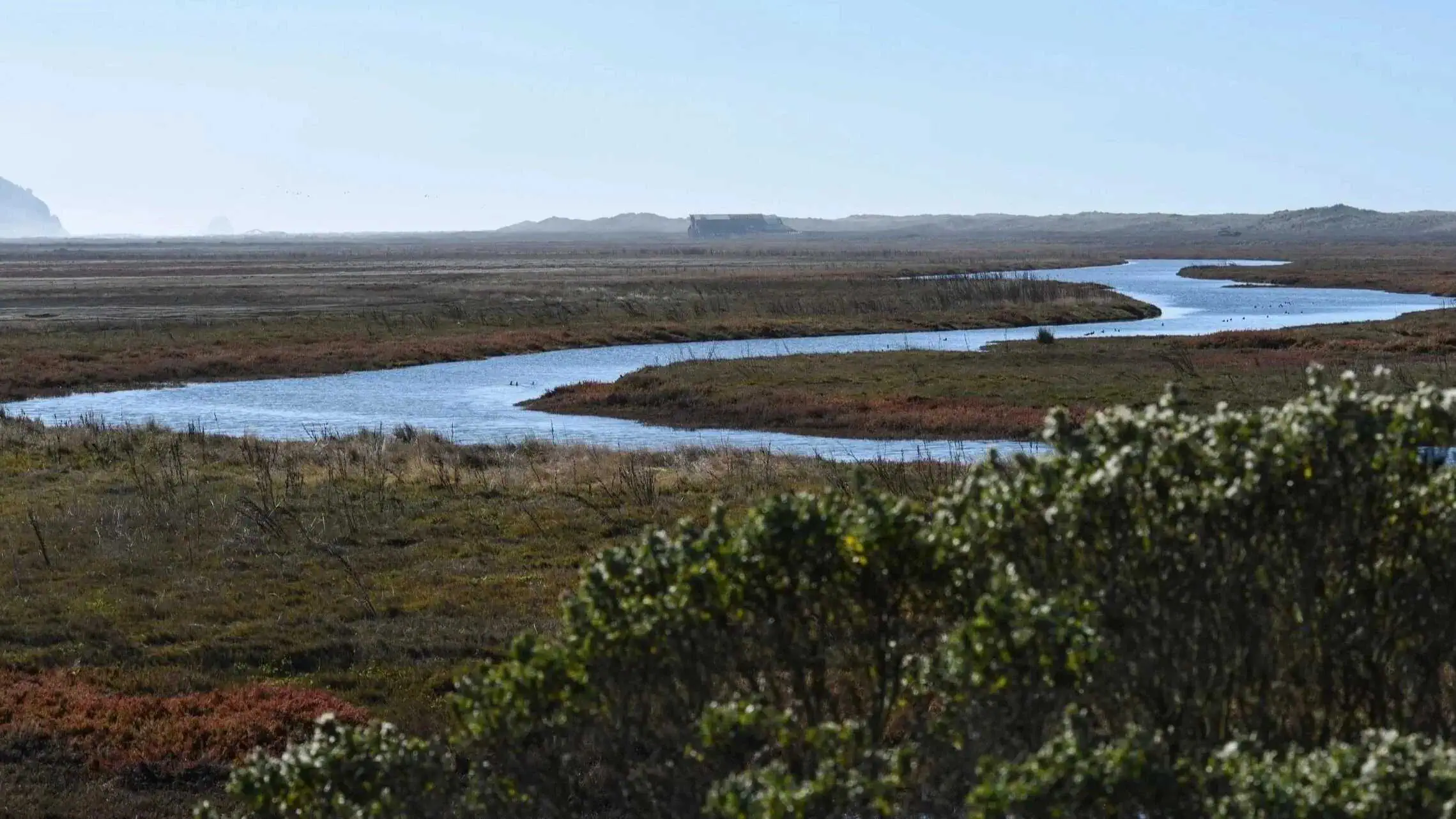 Scenic view of a winding river through wetlands and marshes.