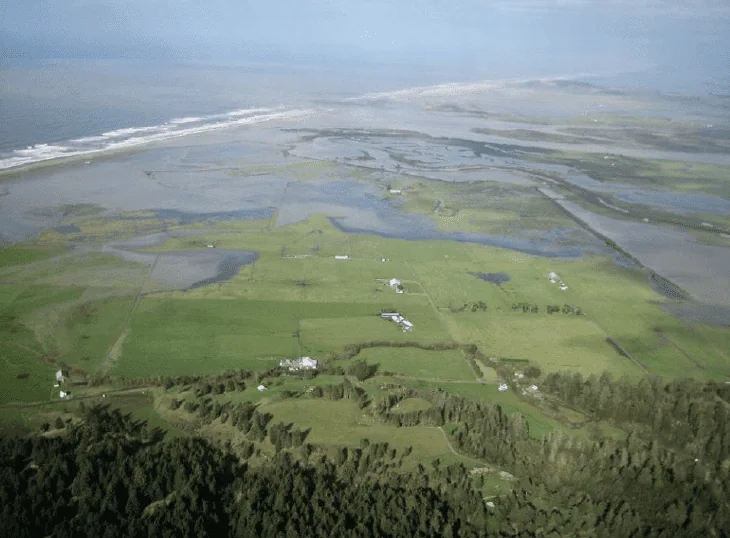 Aerial view of coastal wetlands and green farmland by the ocean.