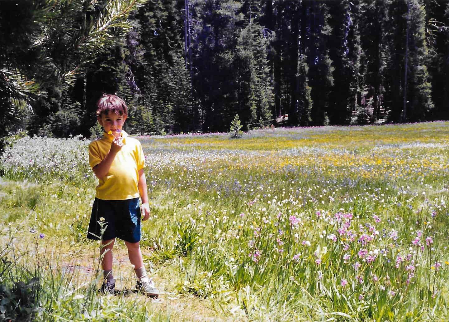   John’s first trip to Yosemite, 1994  