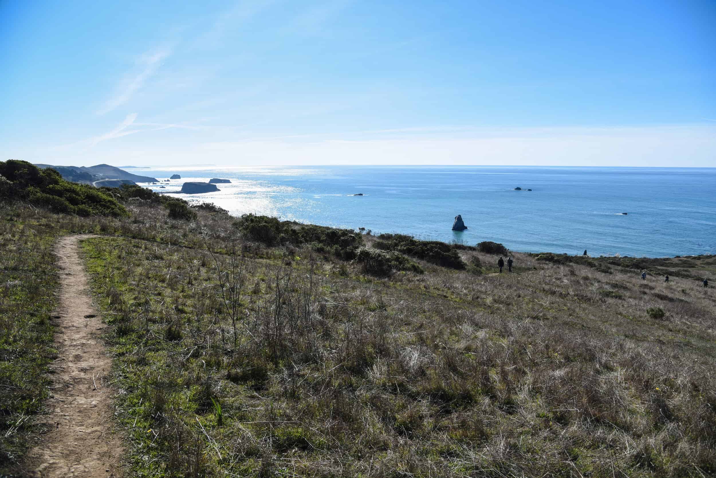 Hiking trail along the coast with ocean views at The Wildlands Conservancy.