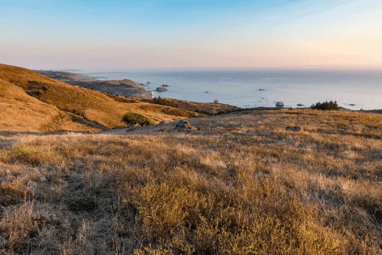 Scenic coastal landscape at sunset with rolling hills and ocean view.