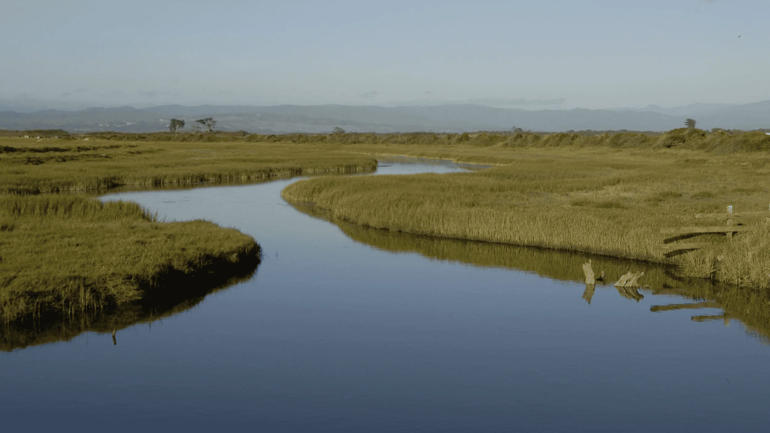 Scenic wetland landscape with winding river and lush greenery.