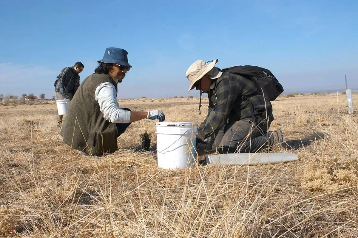 Wildlands Conservancy Field Research