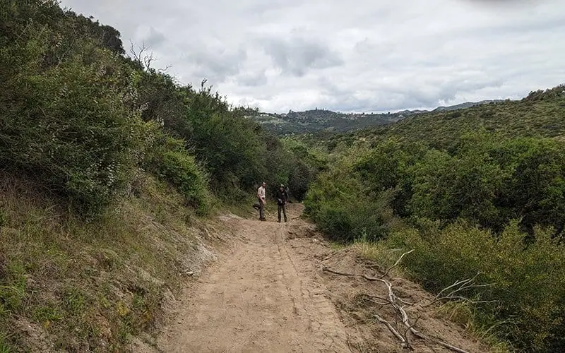 Hikers walking on a dirt trail through lush green hills.
