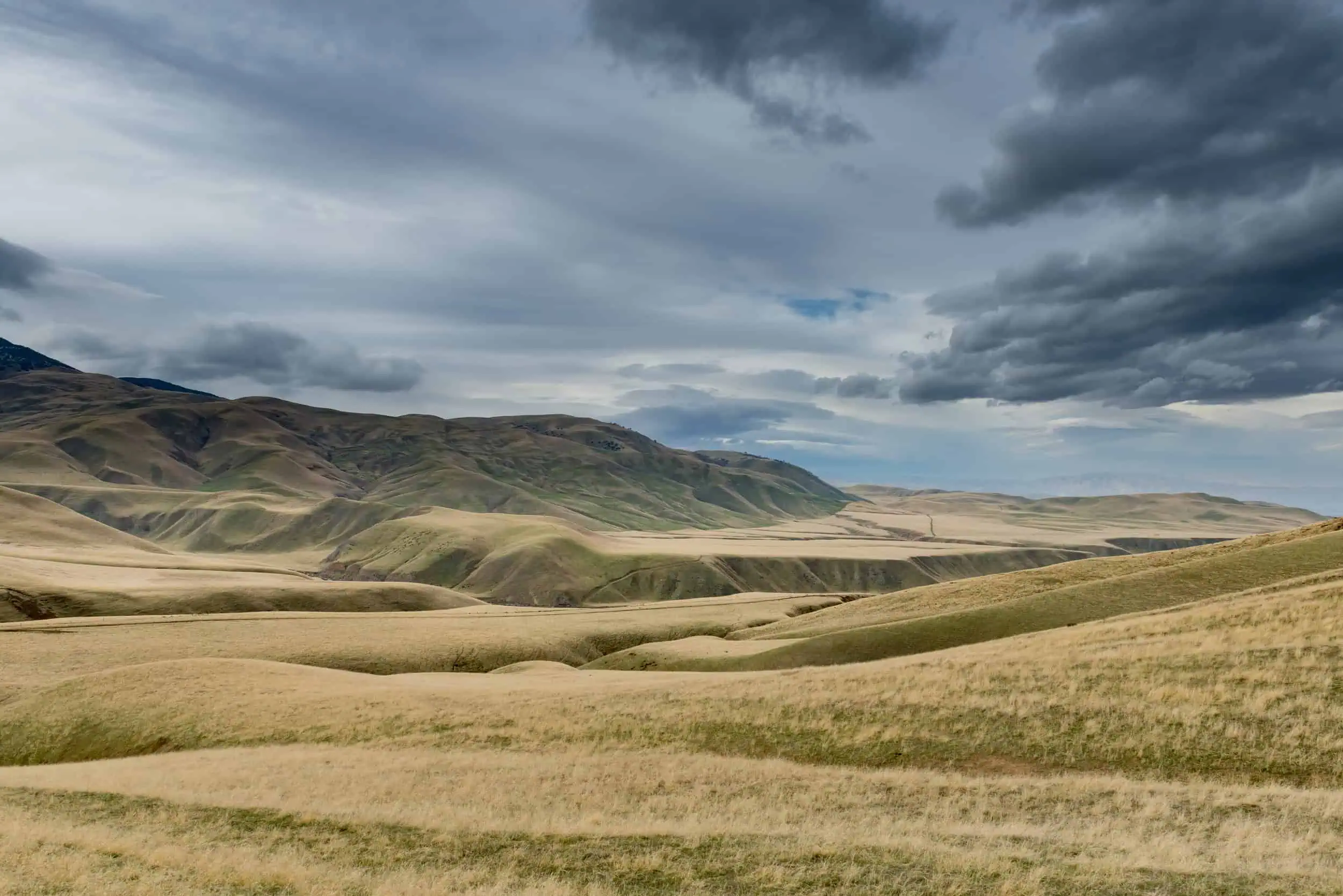 Open grasslands with rolling hills and dramatic cloudy sky.