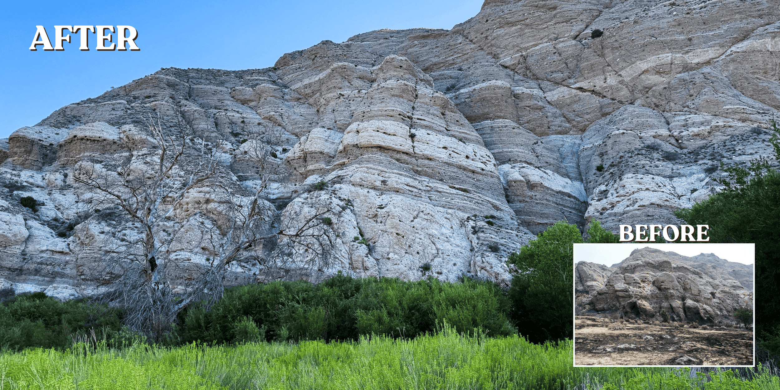 Restored rocky cliff with lush green vegetation at The Wildlands Conservancy.