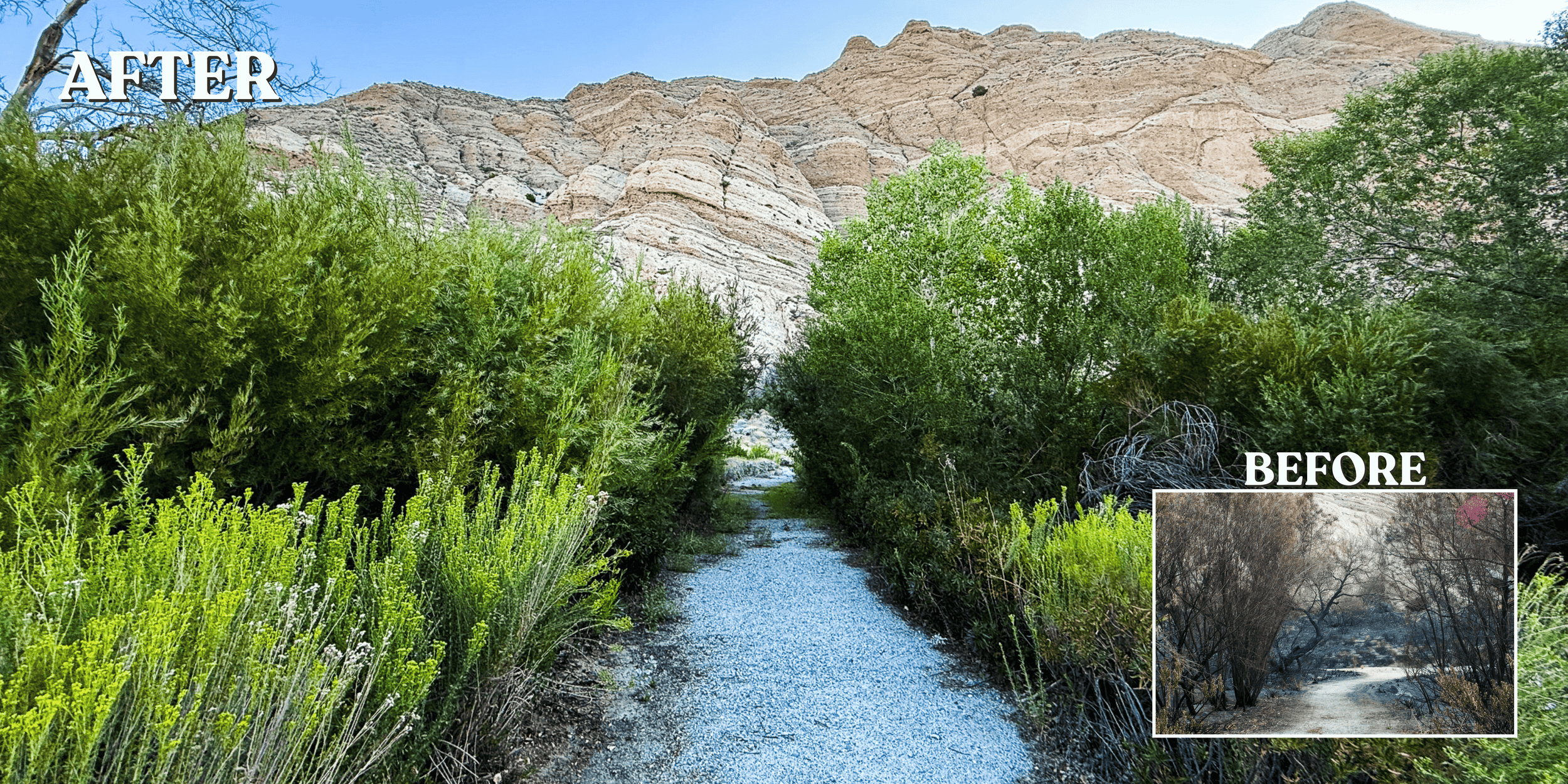   Whitewater Preserves greenery and cliff faces before and after restoration  |  Photo by Whitewater Staff  