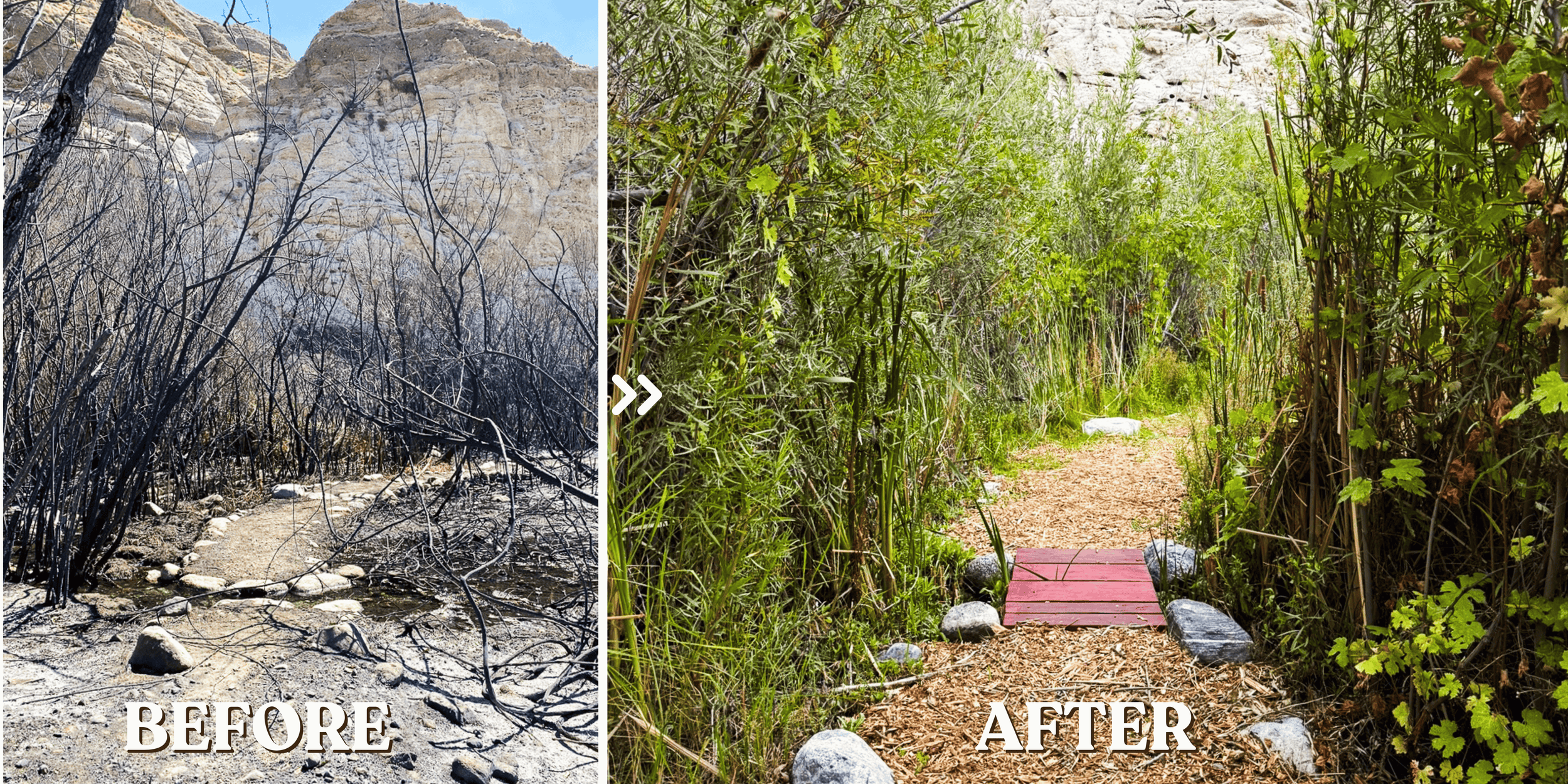   Whitewater Preserves culvert crossing before and after restoration | Photo by Whitewater Staff  