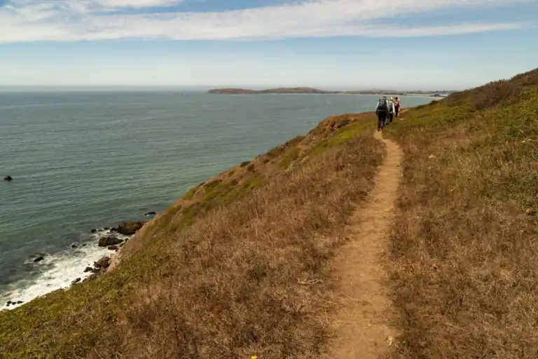 Estero Americano Coast Preserve Hike