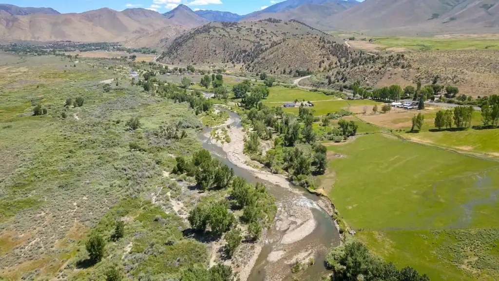 Scenic view of West Walker River with mountains and lush greenery.