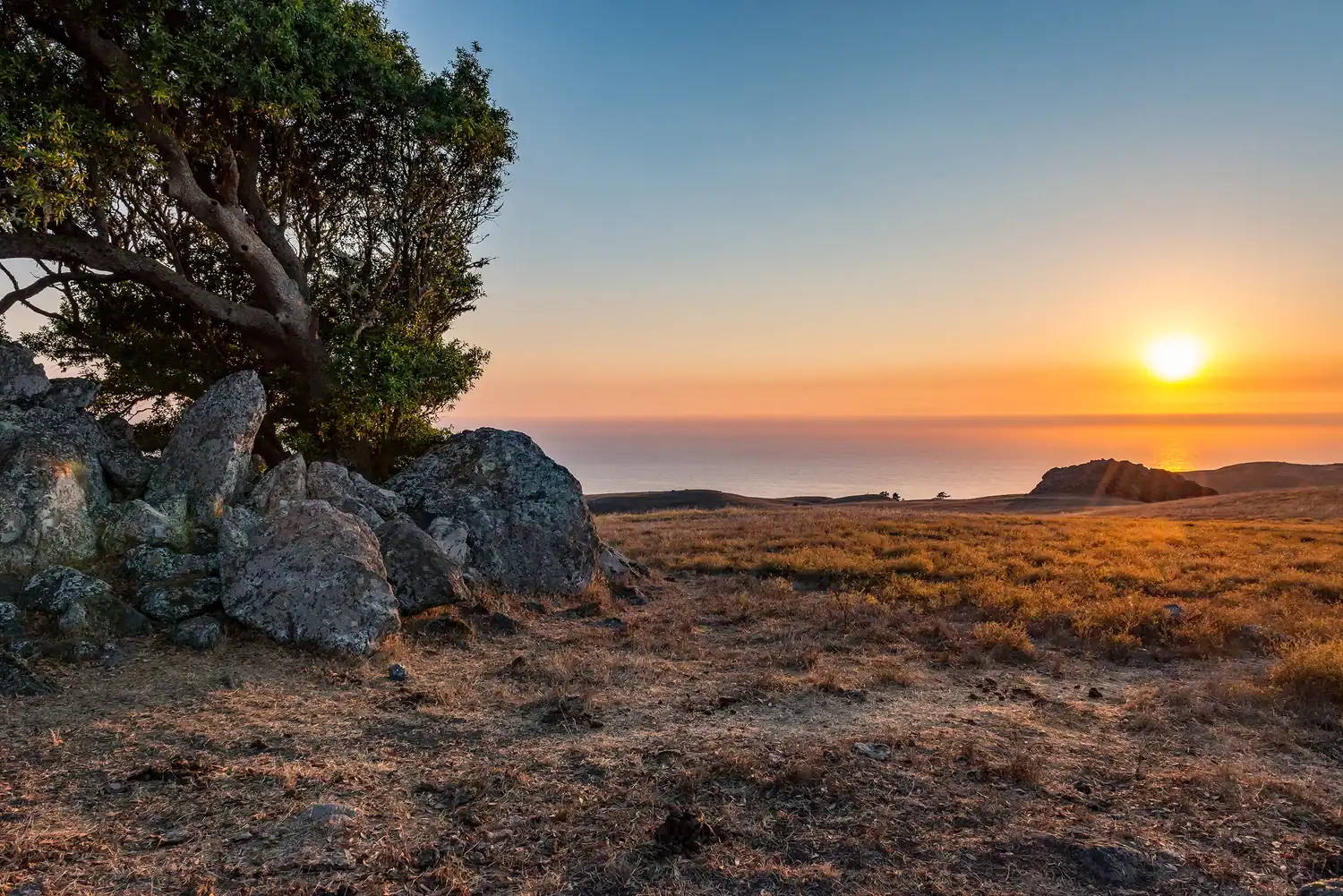 Sunset over Jenner Headlands Preserve with rocky terrain and a tree in foreground.