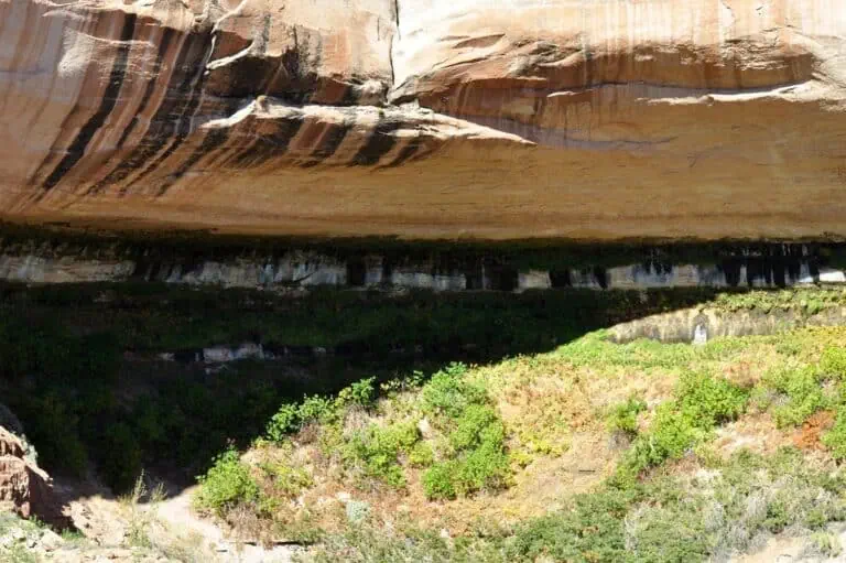 Natural rock formation with overhanging cliff and green vegetation below.