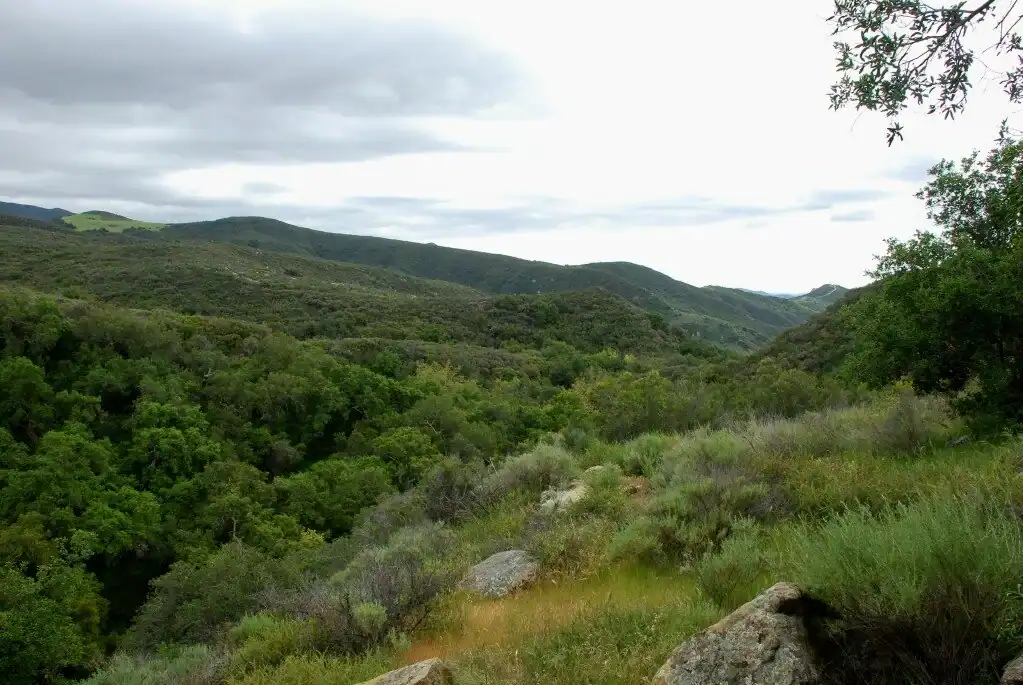 Scenic view of Mariposa Reserve with rolling hills and lush greenery under cloudy sky.