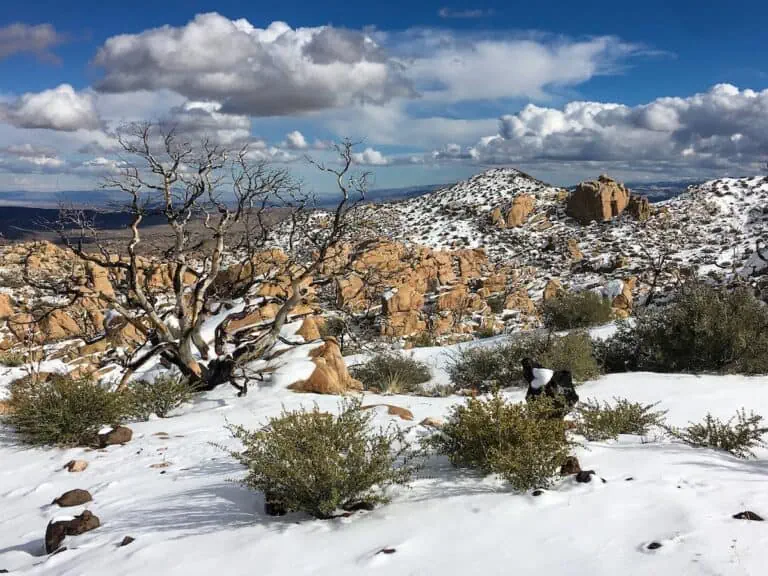 Snow-covered desert landscape with rocky formations and sparse vegetation.