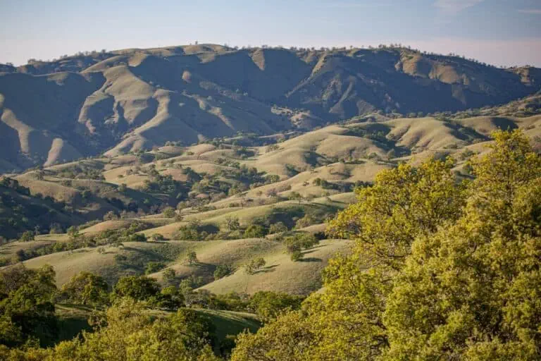 Scenic view of rolling hills and lush greenery at Rana Creek Preserve.