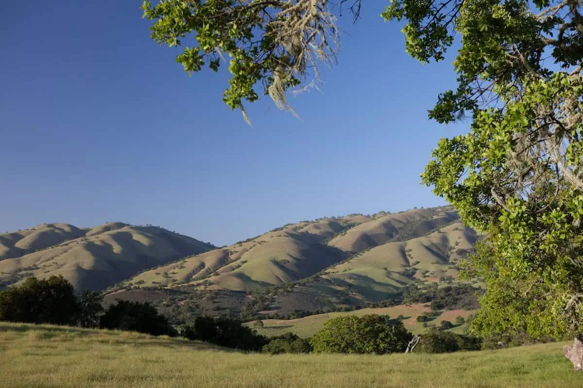 Scenic view of rolling hills and green trees at Rana Creek Preserve.