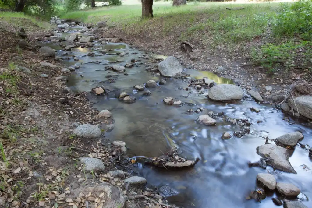 Stream flowing through Rana Creek Preserve with rocks and trees.