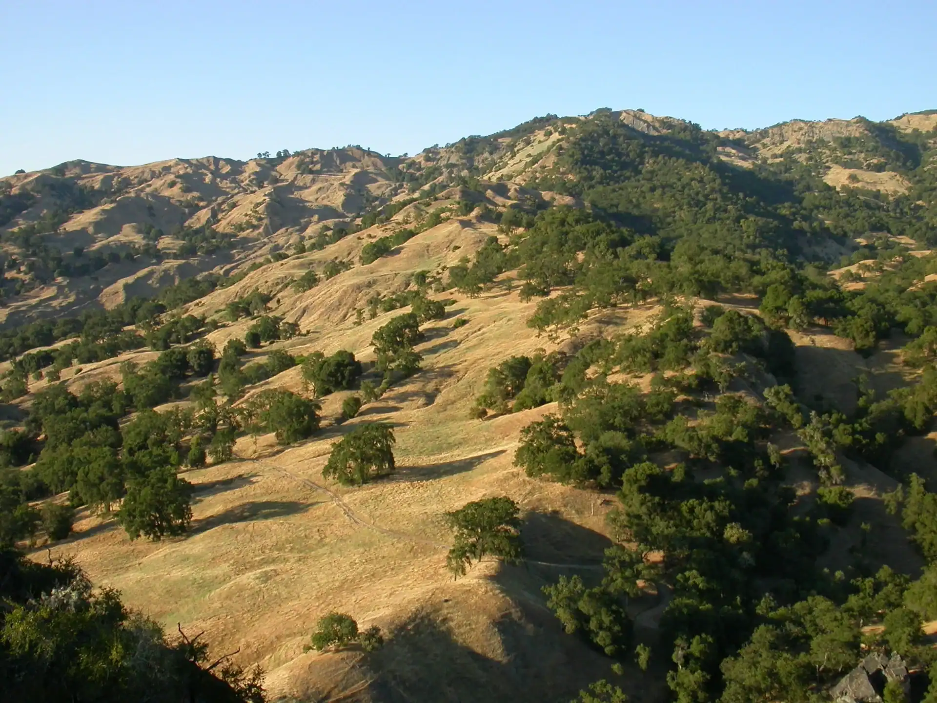 Scenic view of rolling hills and green trees at Spyrock Reserve in California.