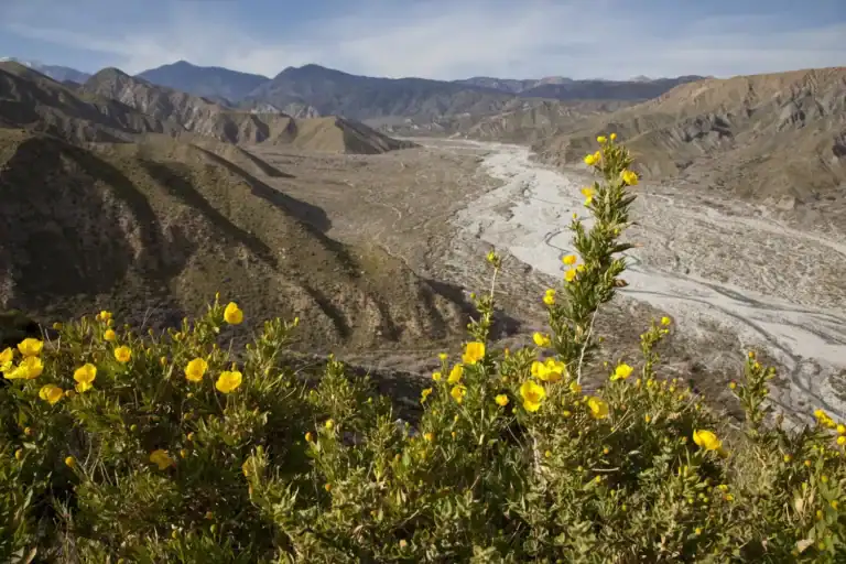 Scenic view of Whitewater Preserve with rugged mountains and desert landscape.