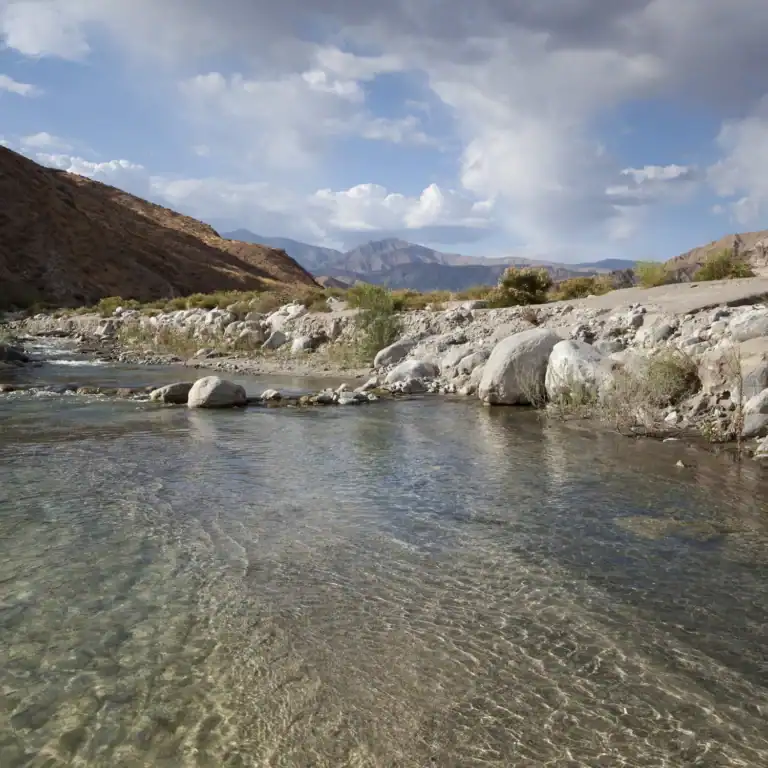 Whitewater Preserve E Jack Thompson