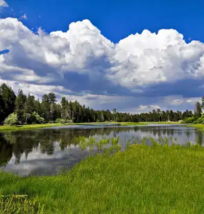 Beautiful lake surrounded by lush greenery and trees under a partly cloudy sky.
