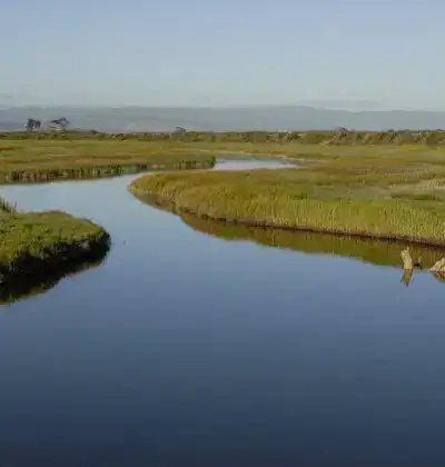Beautiful wetlands with winding waterway and lush green marshes in a natural landscape.