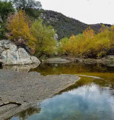 Serene river flowing through lush autumn landscape at The Wildlands Conservancy.