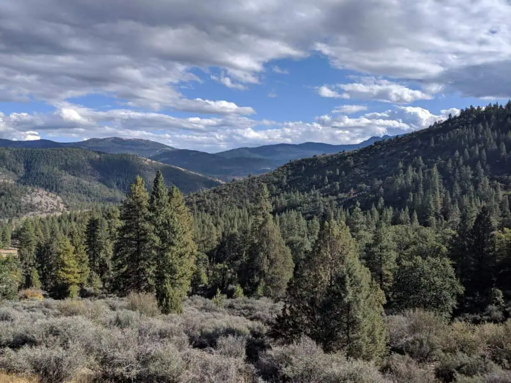 Scenic mountain landscape with lush green trees and blue sky, part of Wildlands Conservancy's protec.