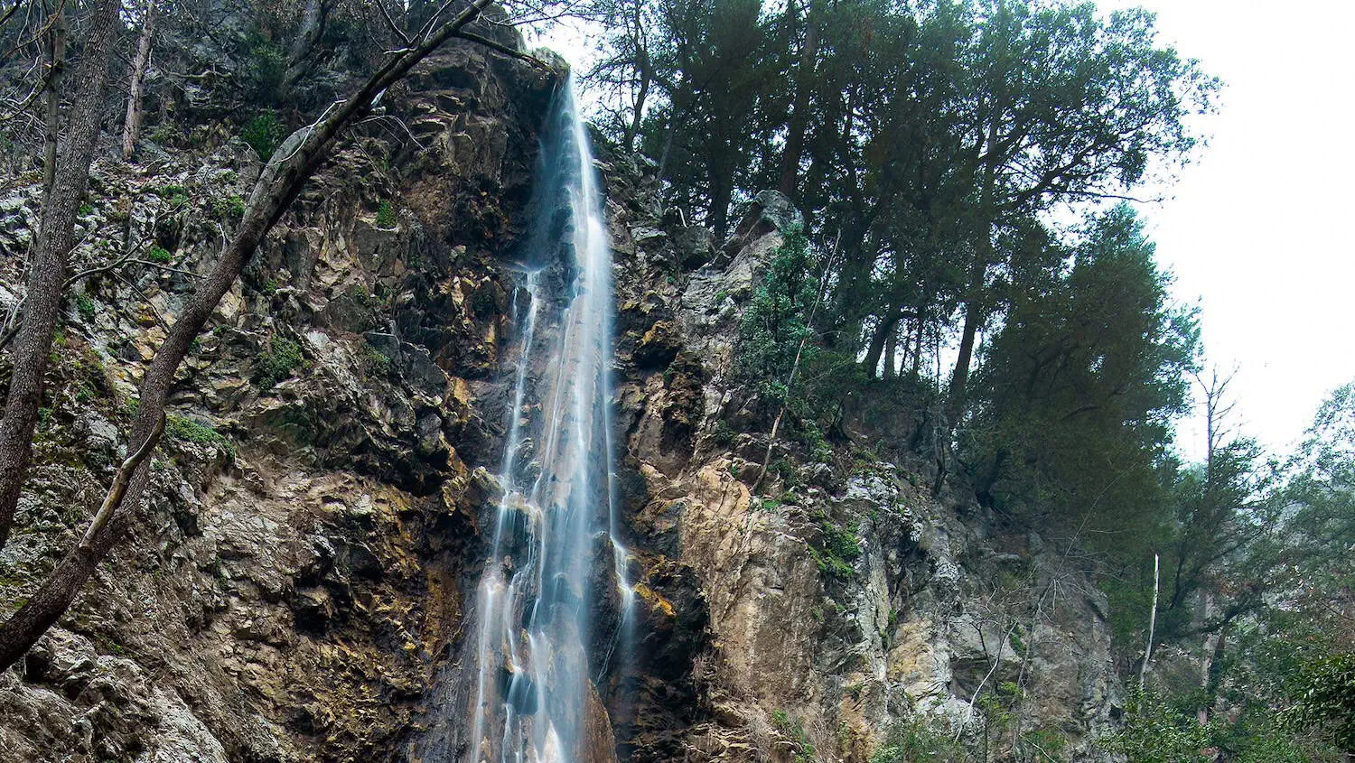 Waterfall in a lush forest at The Wildlands Conservancy.