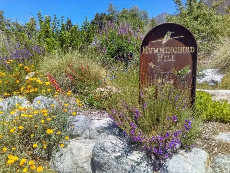Hummingbird Hill sign surrounded by colorful flowers and native plants at The Wildlands Conservancy.