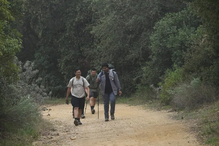 Hikers walking along a trail surrounded by lush greenery and trees.