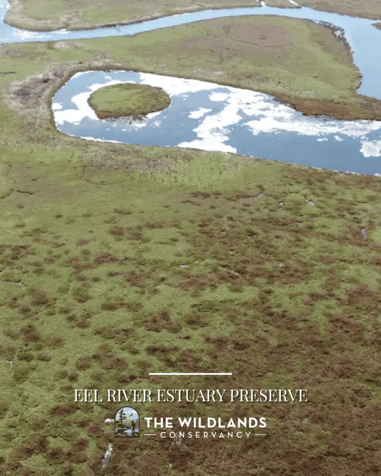 Eel River Estuary Preserve with winding waterway and lush green wetlands.