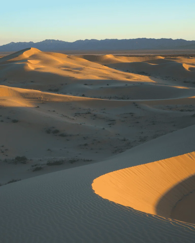 Desert dunes at sunset with mountains in the background, showcasing natural beauty and conservation.