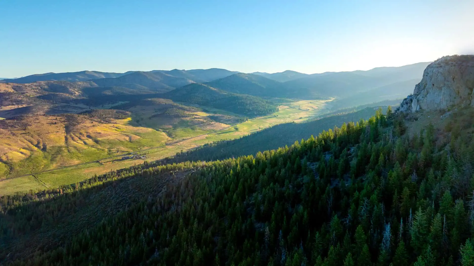 Scenic view of lush green forests and rolling hills at AP Ranch during sunset.