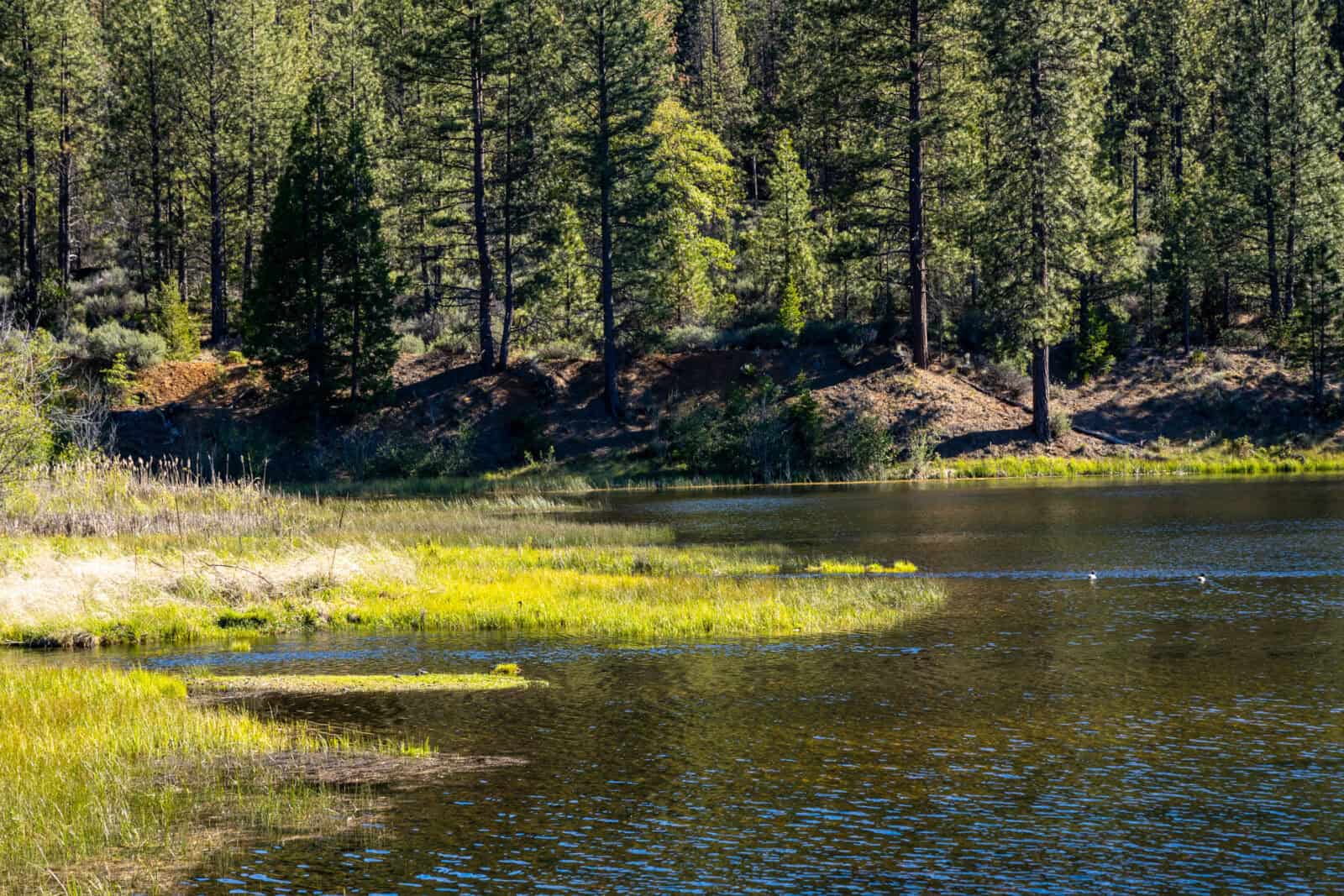 Lake